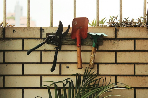Garden Tool Revival: Scrape Away Rust, Sap & Soil for a Summer Reset