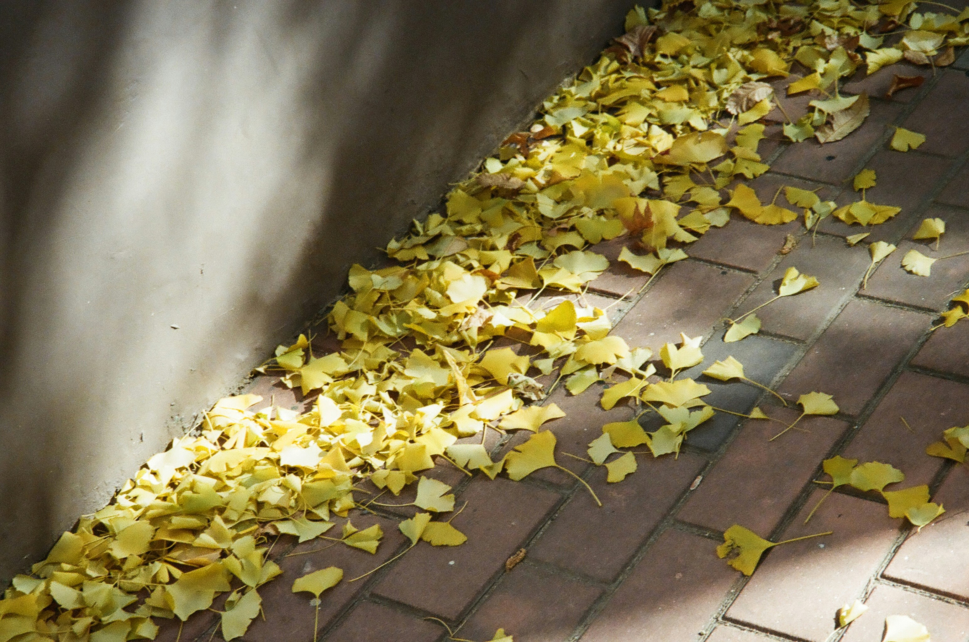 Scraping for Seasonal Transitions: Preparing Your Home for Fall Maintenance